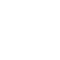 gazdina rakija